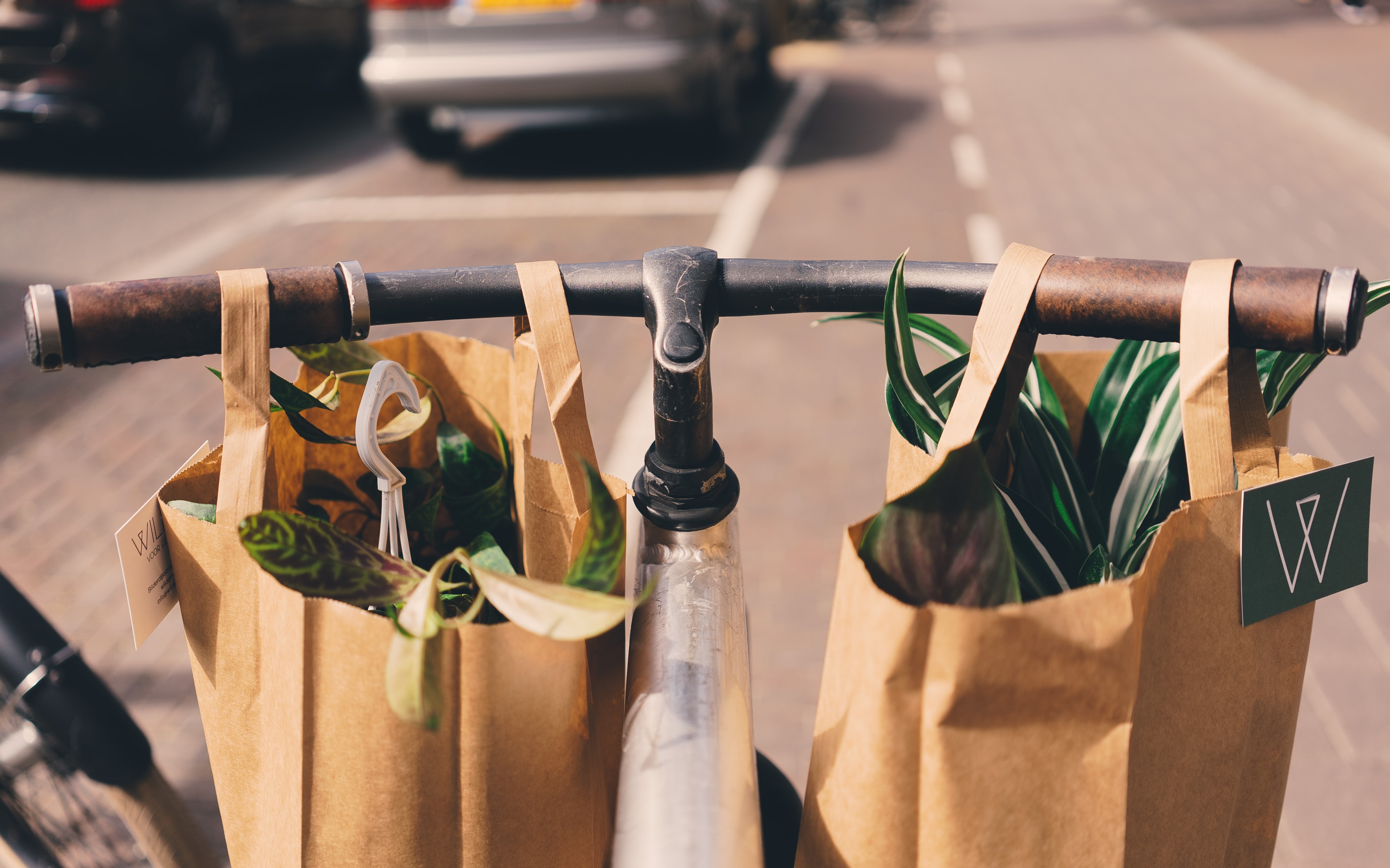 food delivery on a bike